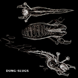 Dung-slugs